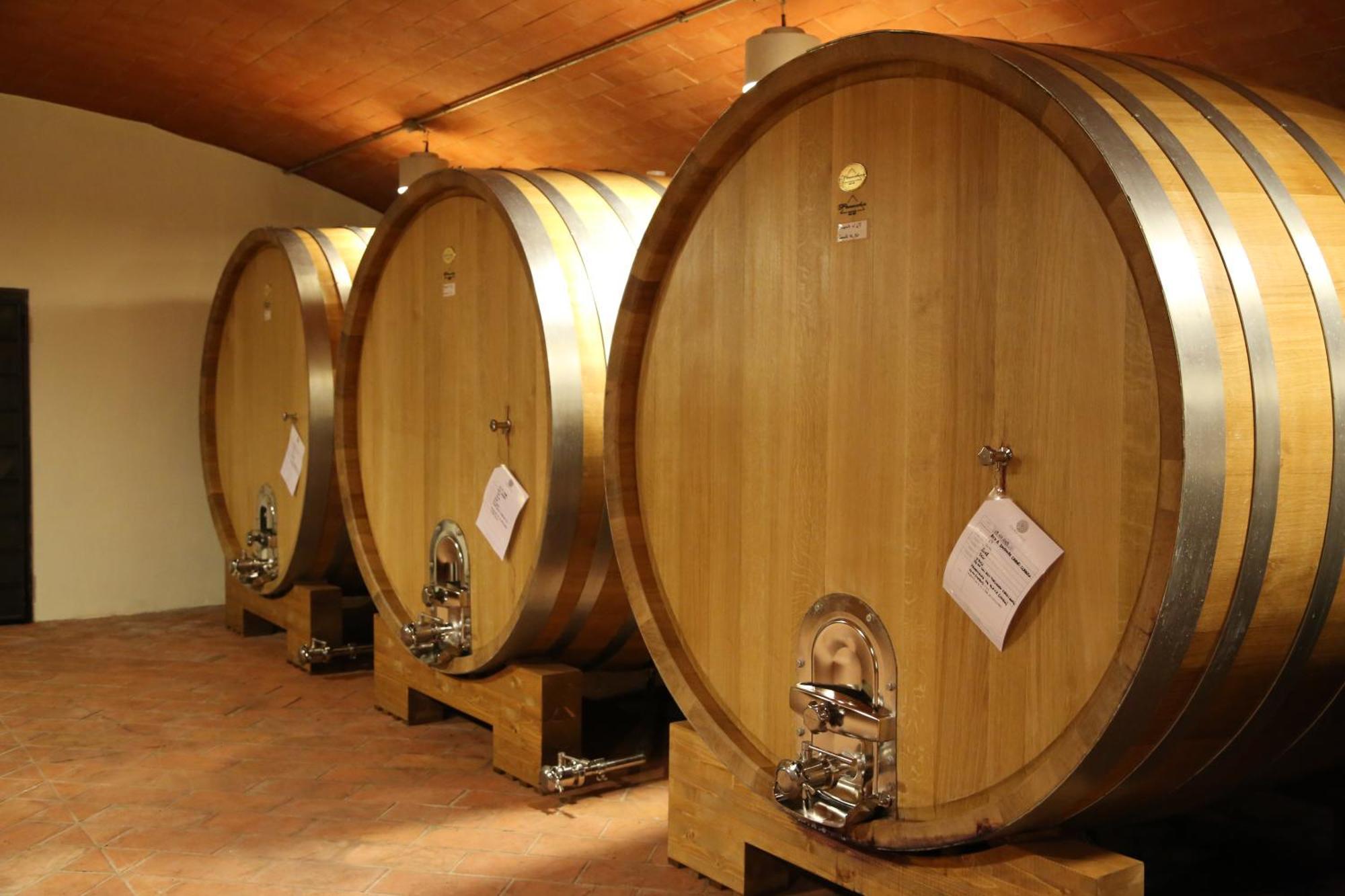 Colombaio Di Cencio Apartment Gaiole in Chianti Bagian luar foto
